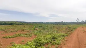 Entebbe Nakawuka Jungo Titled Lands on Sale