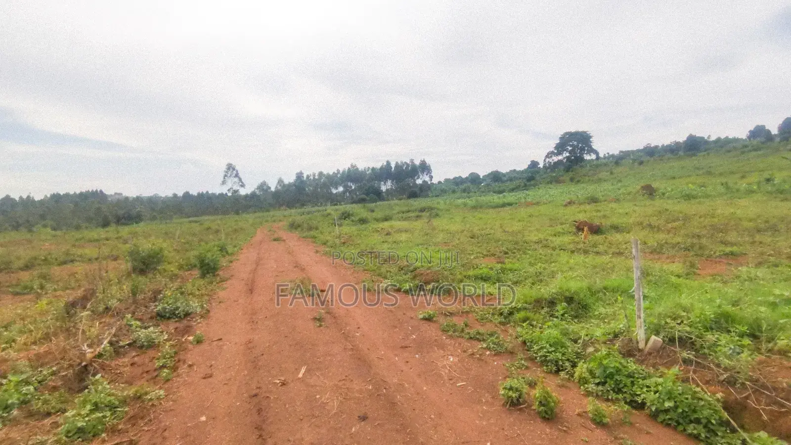 Entebbe Nakawuka Jungo Titled Lands on Sale