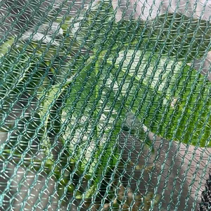 Nursery Bed Net (105g/Sq M)