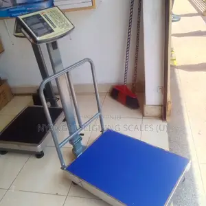 Industry Platform Weighing Scales 400kg Weighing Scales