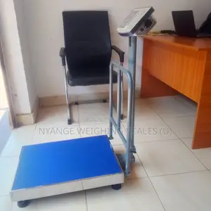 Good Quality Weighing Scales 400kg Platform Weighing Scales