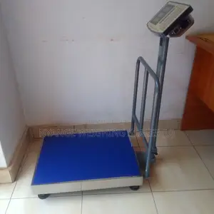 Platform Weighing Scales Commercial Weighing Scales 400kg