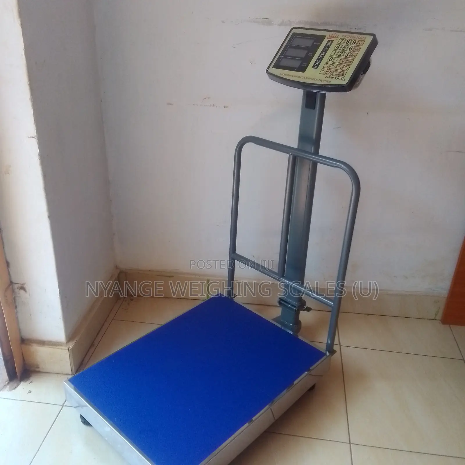 Nutrition Facts Food Platform Scale Yz-400kg(G6s)