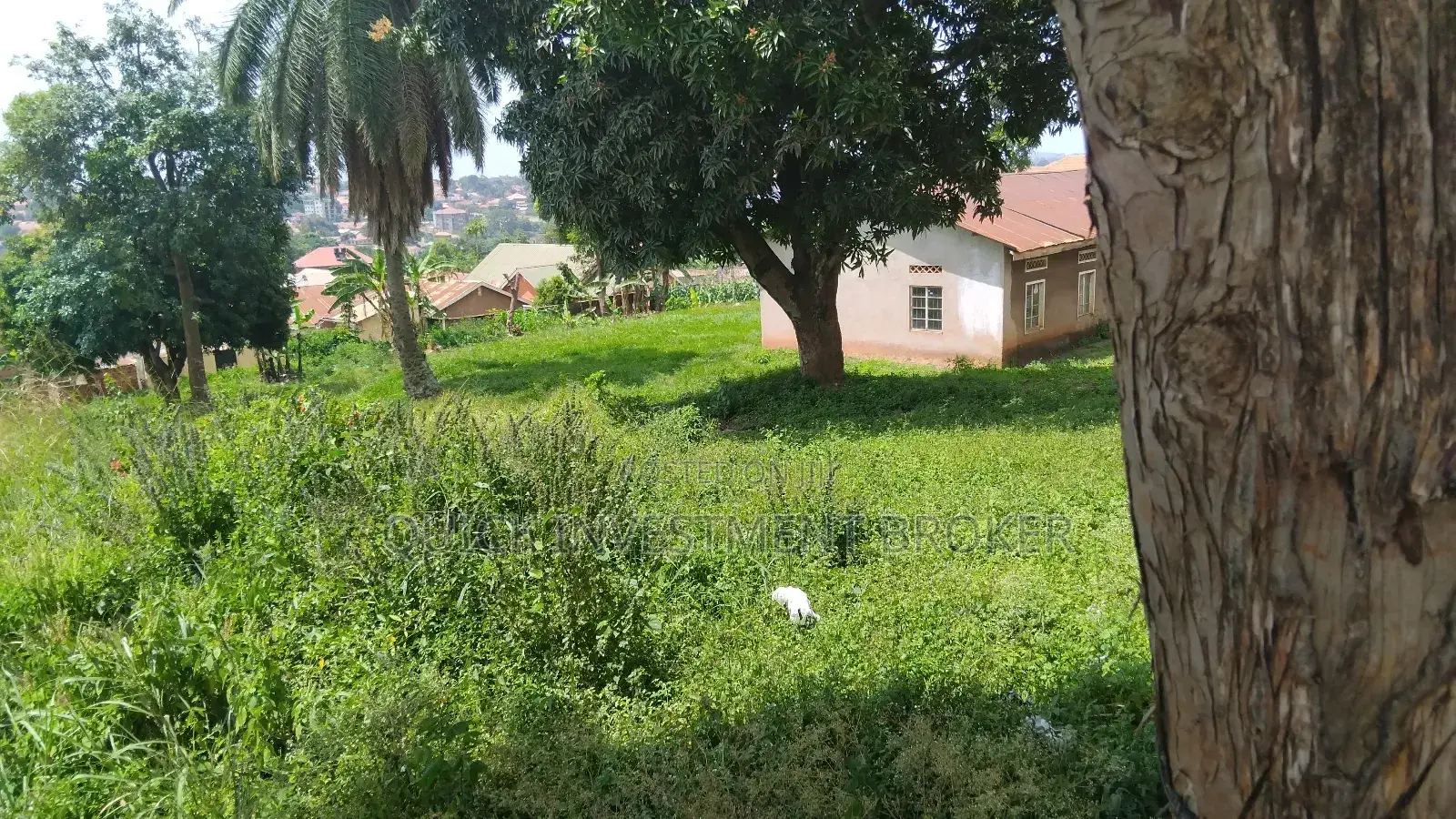 Land Commercial (One Acre) 1.3b
