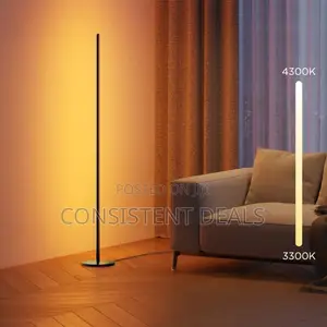 RGB Corner Floor Lamp