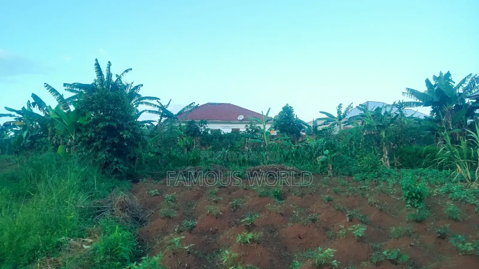 Entebbe Nakawuka Jungo Plot for Sale 100ft by 50 Ft