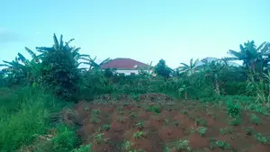 Entebbe Nakawuka Jungo Plot for Sale 100ft by 50 Ft