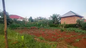 Entebbe Nakawuka Jungo Plot for Sale 100ft by 50 Ft