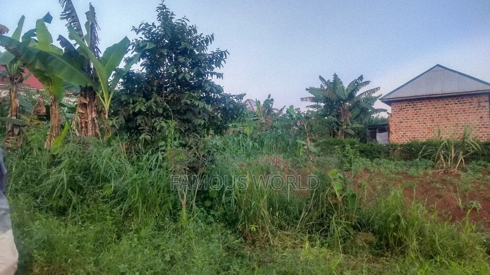 Entebbe Nakawuka Jungo Plot for Sale 100ft by 50 Ft