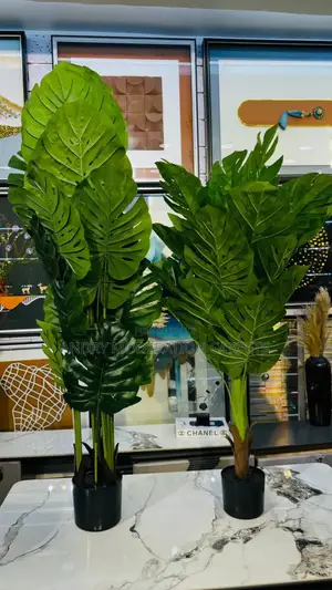 Executive Indoor Artificial Plant