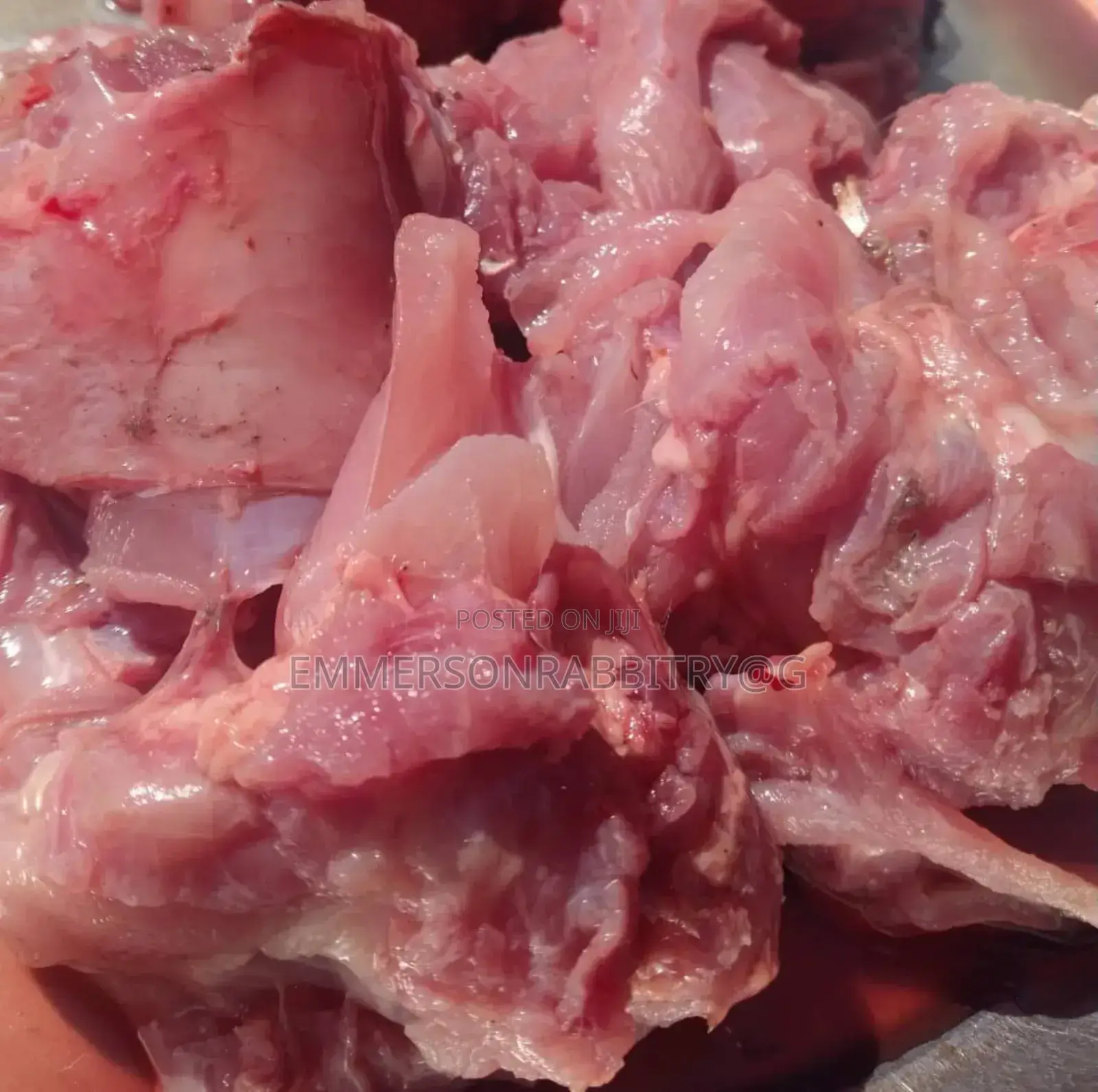 Rabbits Meat Per Kg