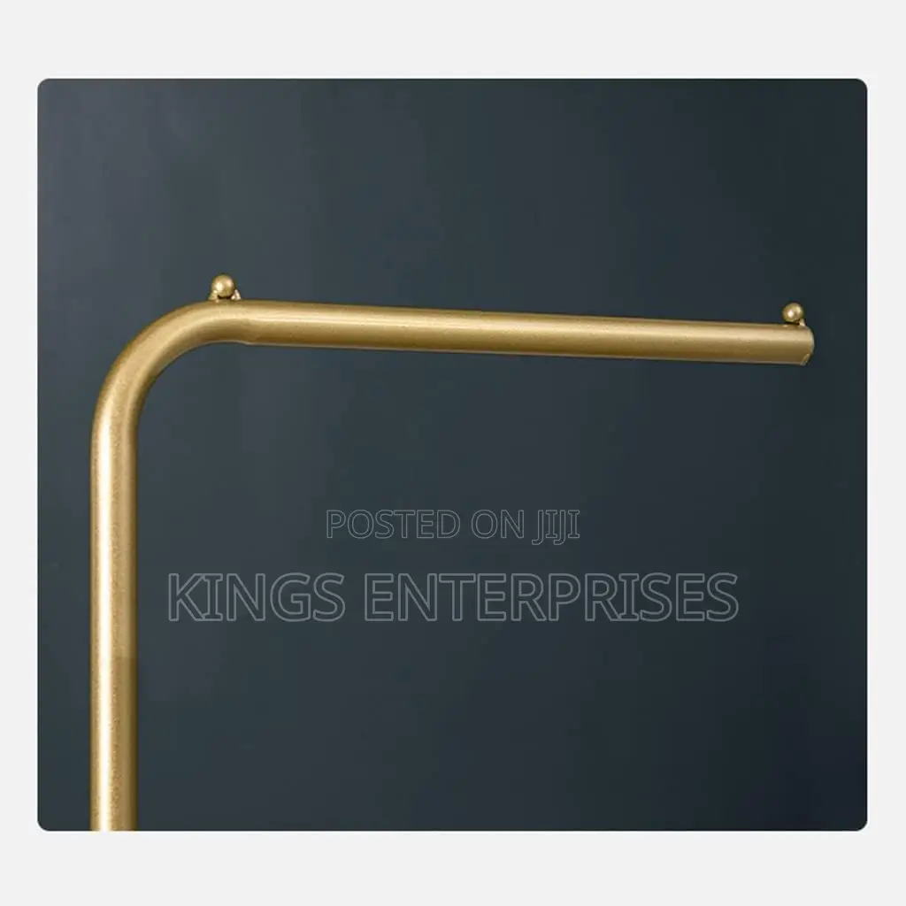 Modern Styled Coat Hanger