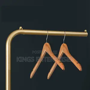 Modern Styled Coat Hanger