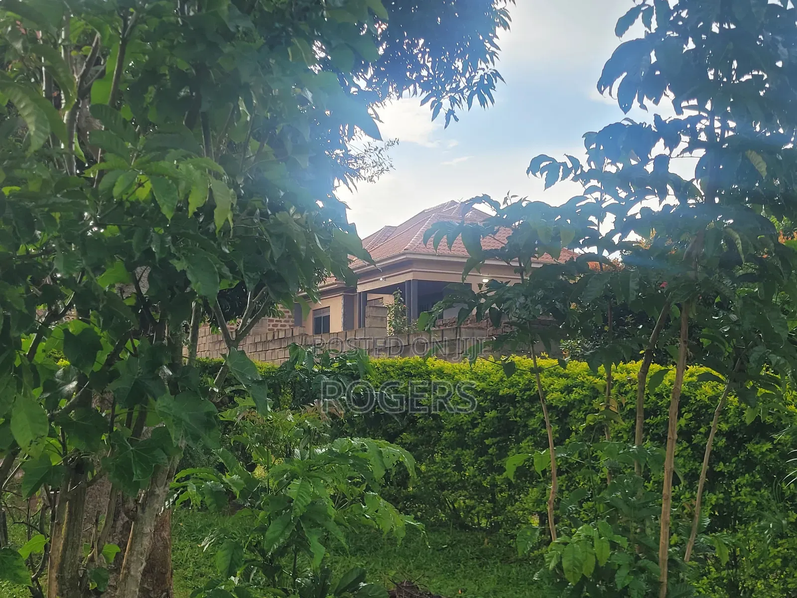 Land in Maya - Jadira 50*100 Ft