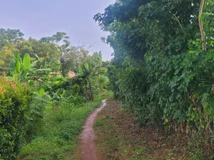 Land in Maya - Jadira 50*100 Ft