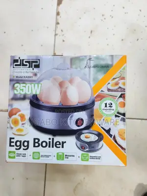 Photo - Egg Boiler DSP