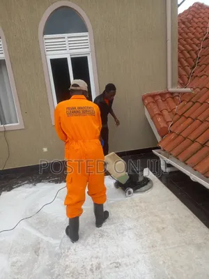 Carpet Cleaning Services