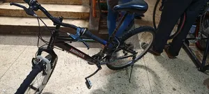 Bicycless Sizze 26