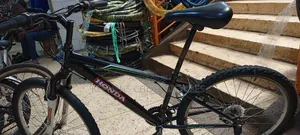 Bicycless Sizze 26