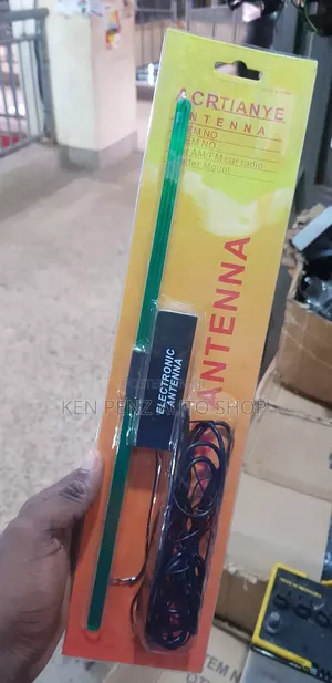 Electric Antenna for All Cars