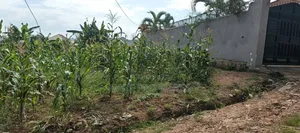 50x100 Plot for Sale in Sonde Hill View Estate.