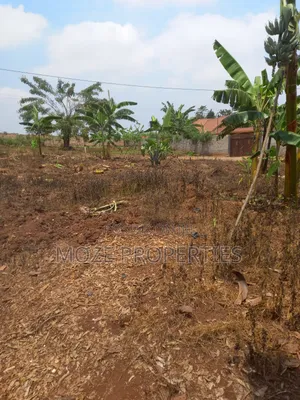 50x100 Land for Sale in Bweyogerere Buto.