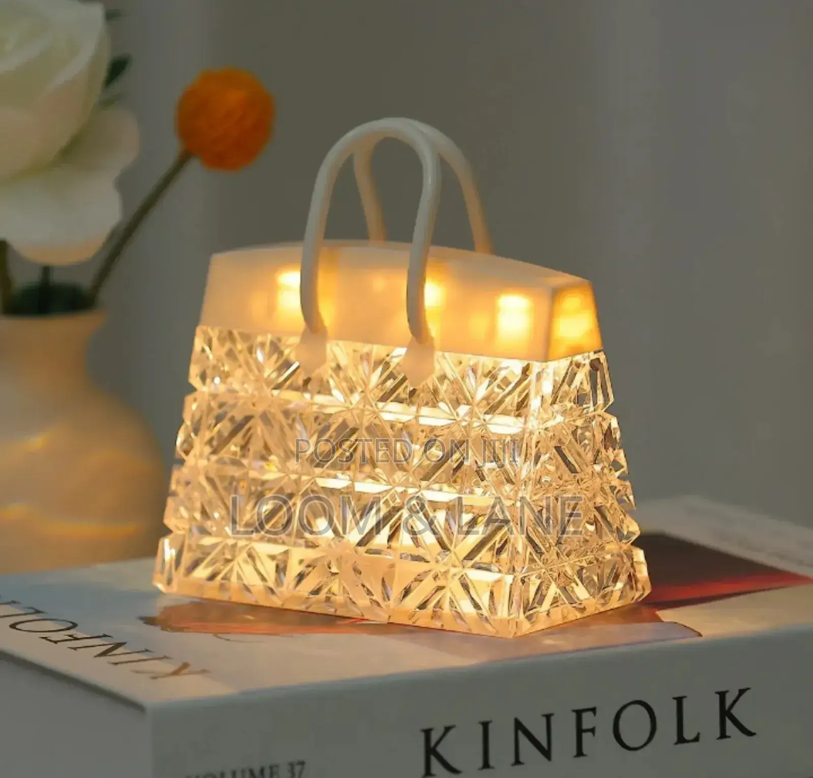 Exquisite Handbag Design Led Light