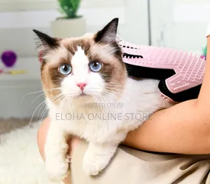 Dog and Cat Hair Hair Grooming and Bathing Glove
