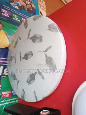 Large Multi Color Ceiling Lamp