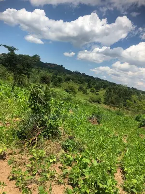 3 Acres for Sale in Kalule-Buvuma After Bombo