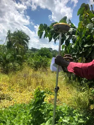 3 Acres for Sale in Kalule-Buvuma After Bombo