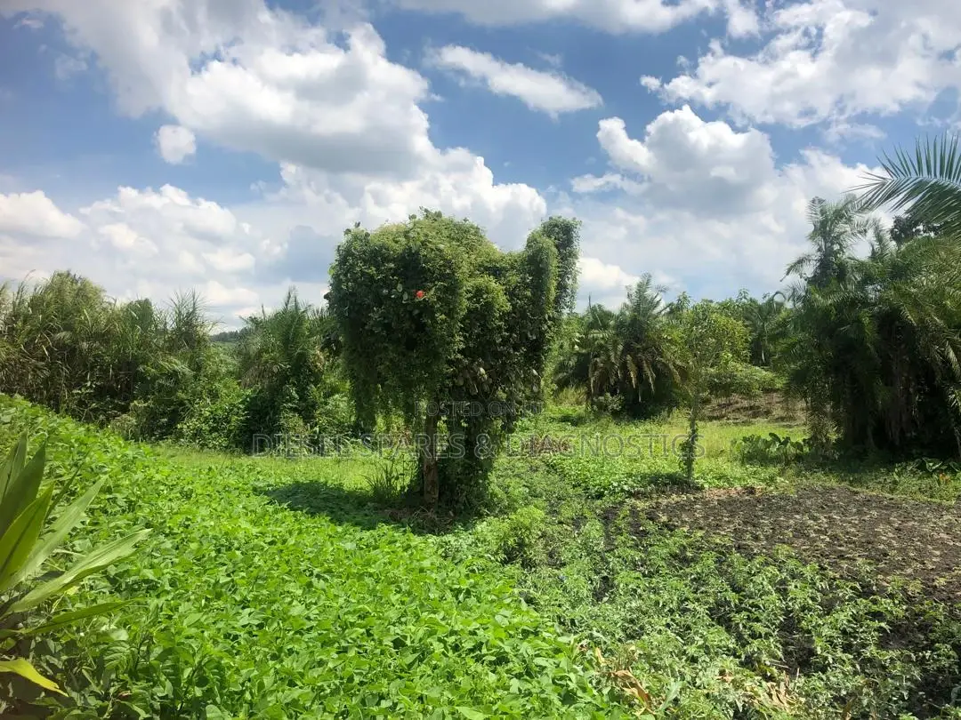 3 Acres for Sale in Kalule-Buvuma After Bombo