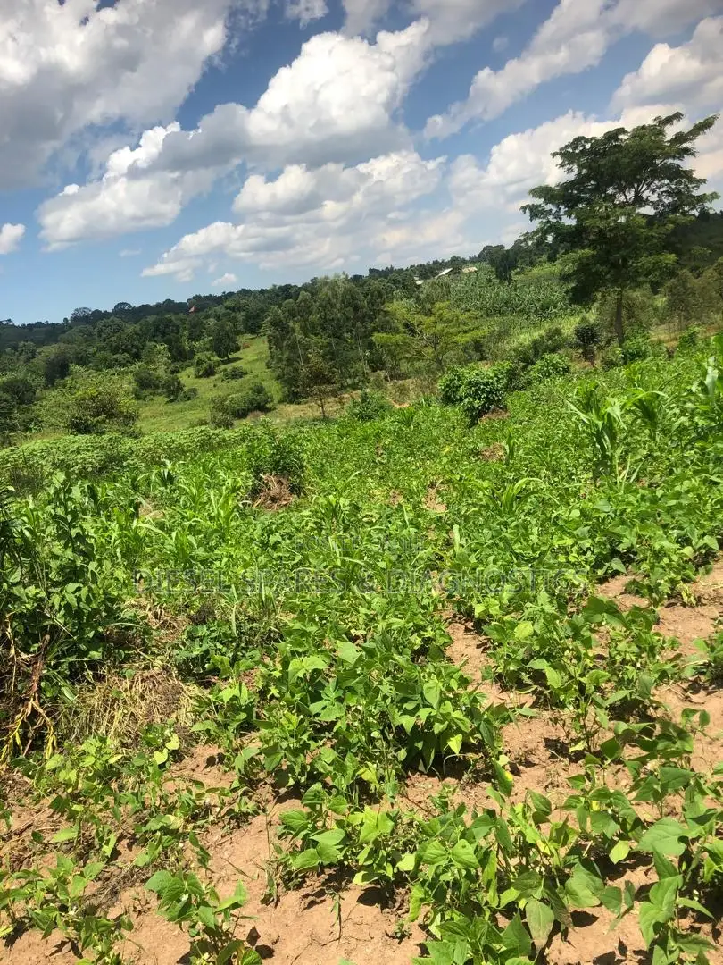 3 Acres for Sale in Kalule-Buvuma After Bombo