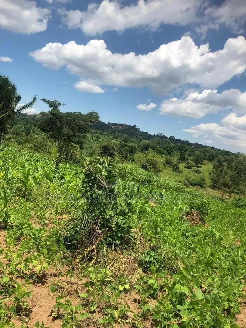 3 Acres for Sale in Kalule-Buvuma After Bombo