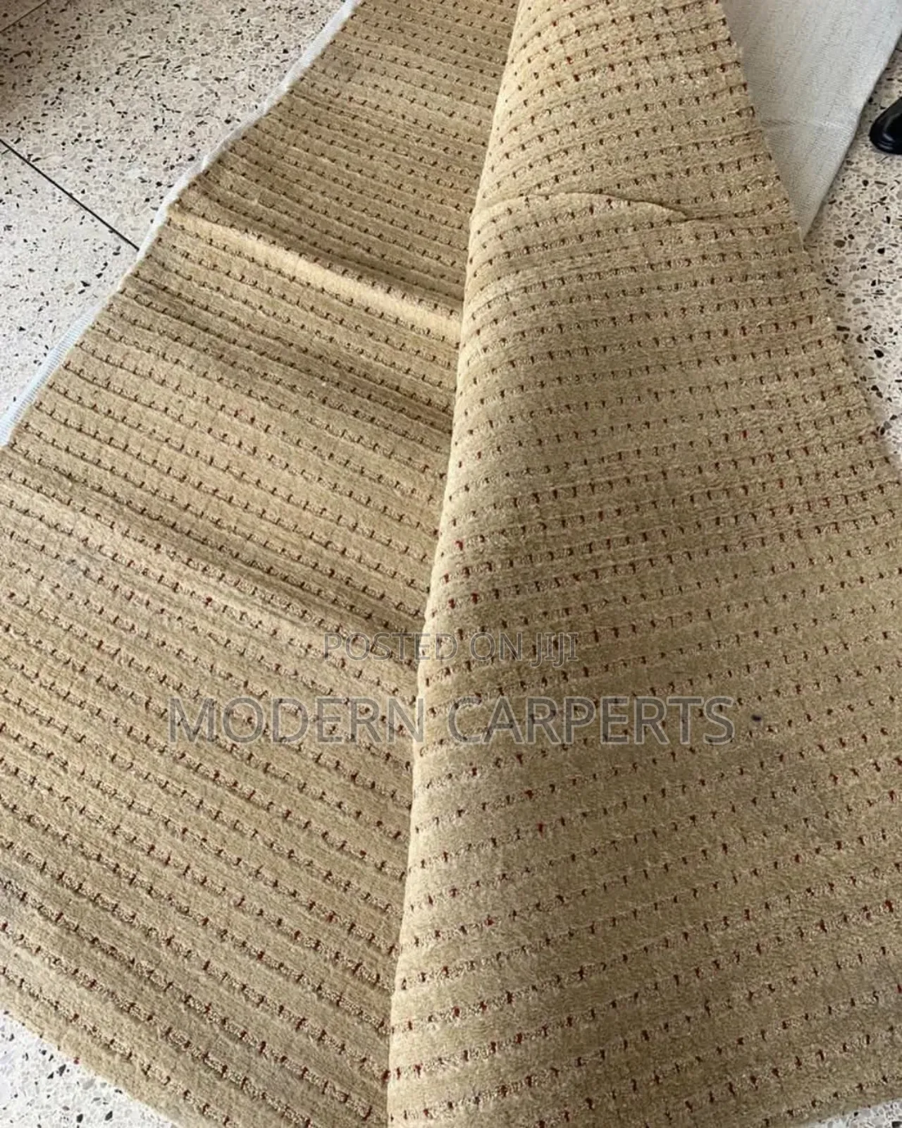 Wall to Wall Soft Carpets