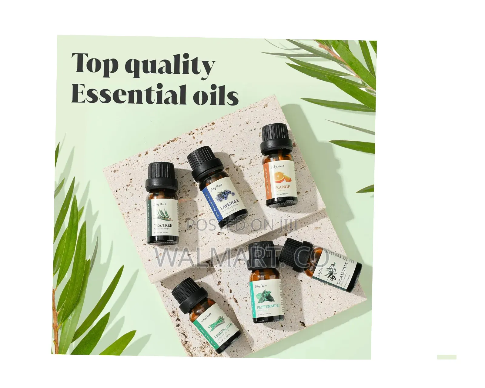 A Set of Essential Oils 6pcs