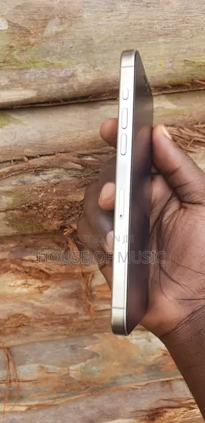 Apple iPhone 15 Pro Max 256 GB Silver