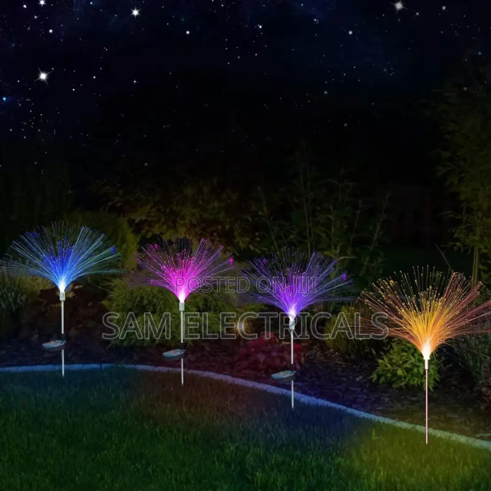Garden Lights