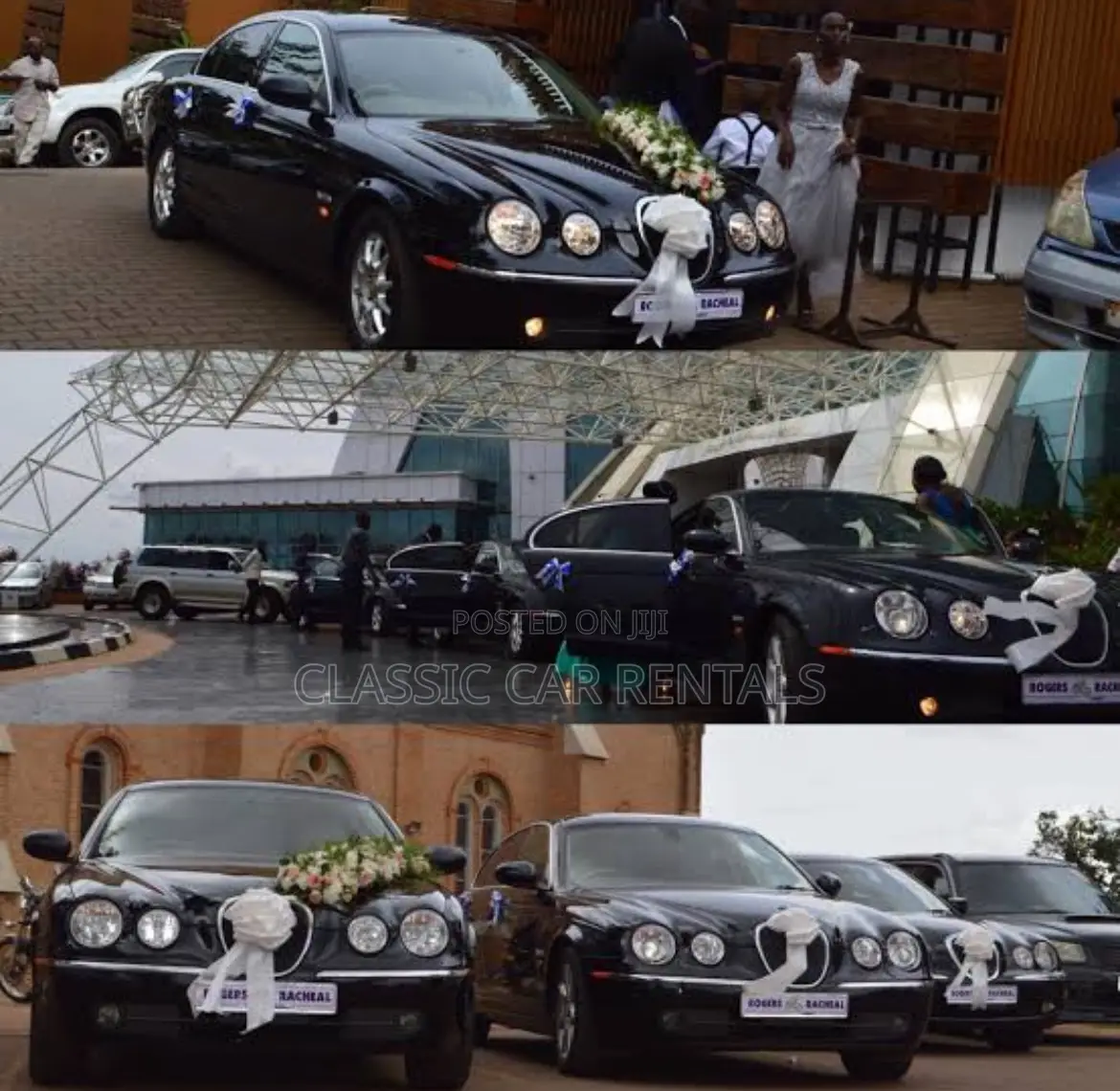 Jaguars for Hire