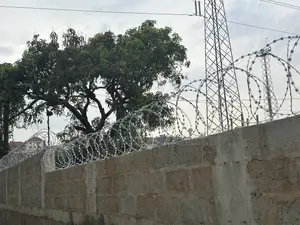 Lazor Wire 8 MTRS