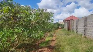 Photo - Land for Sale