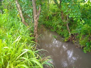 Farmland in Amuru District (50acres)