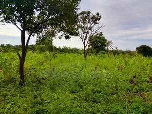 Farmland in Amuru District (50acres)
