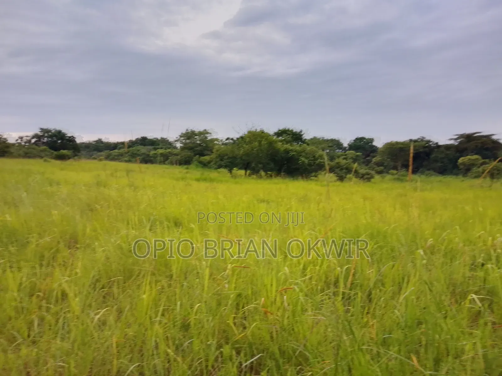 Farmland in Amuru District (50acres)
