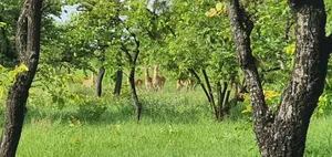 Vast Farming Ranch