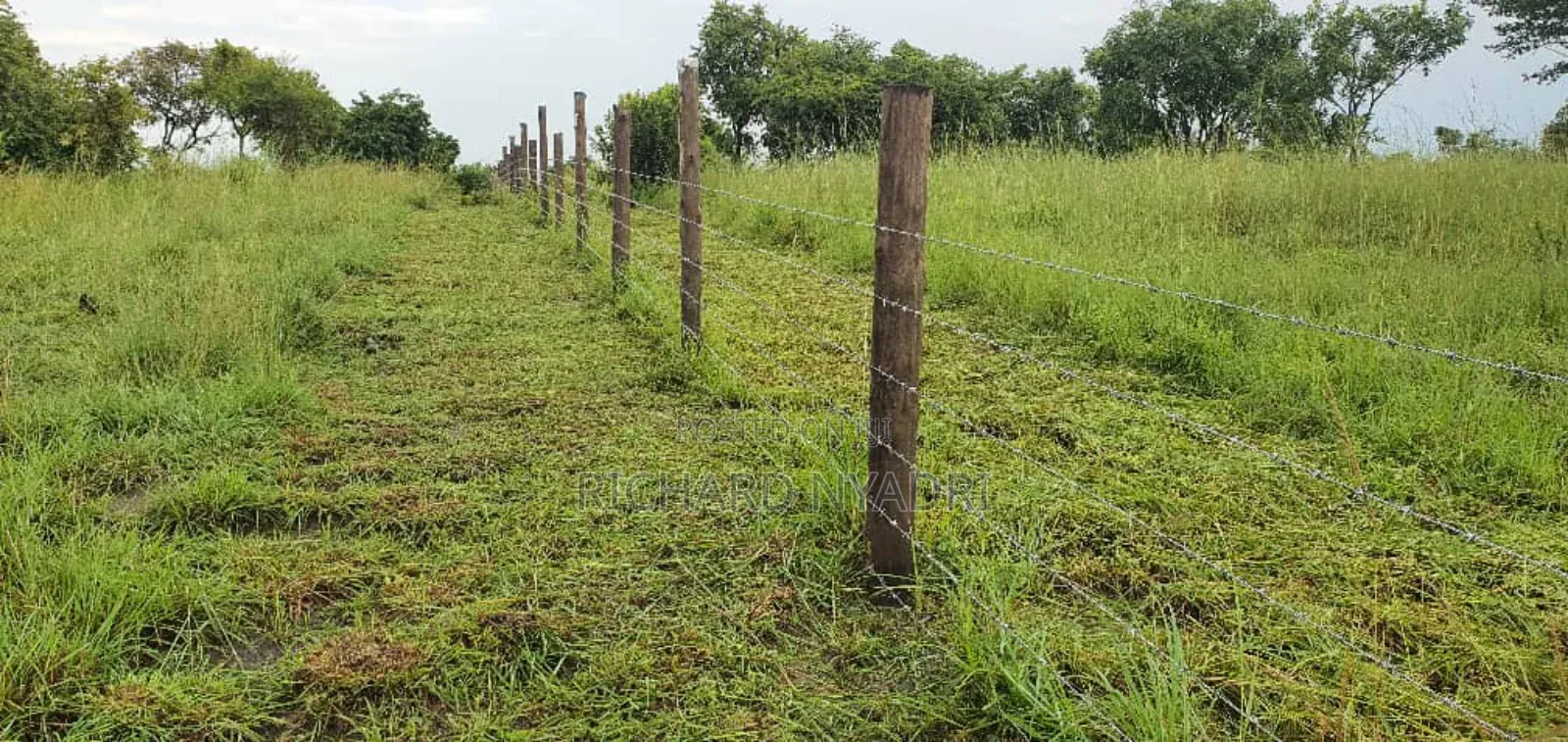 Vast Farming Ranch