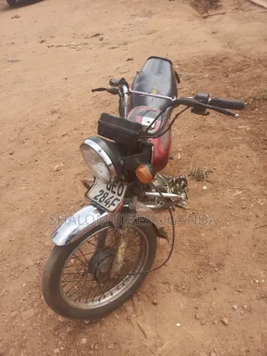Bajaj Boxer 100 2019 Red