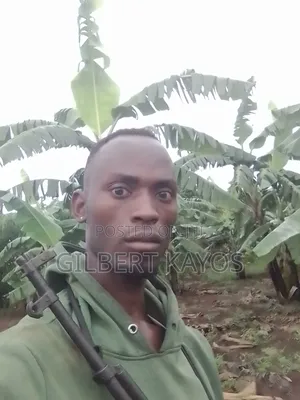 Security Guard