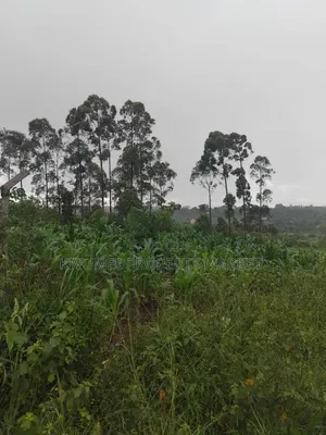 Photo - 5 Acres of Land for Sale at Kigwogwa-Matugga