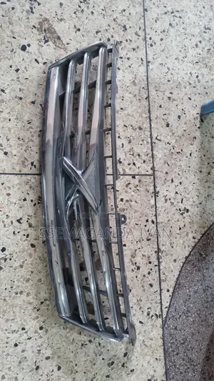Photo - Mark X Original Grille 2010